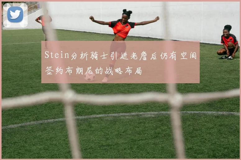 Stein分析骑士引进老詹后仍有空间签约布朗尼的战略布局