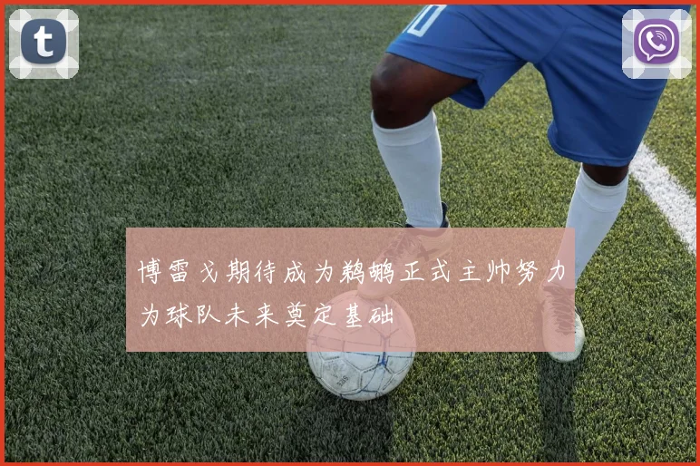 博雷戈期待成为鹈鹕正式主帅努力为球队未来奠定基础